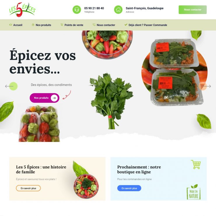 Site vitrine + e-commerce